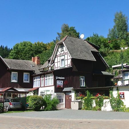 Ferienwohnungen Treseburg "Zur Bodehexe" Thale Buitenkant foto