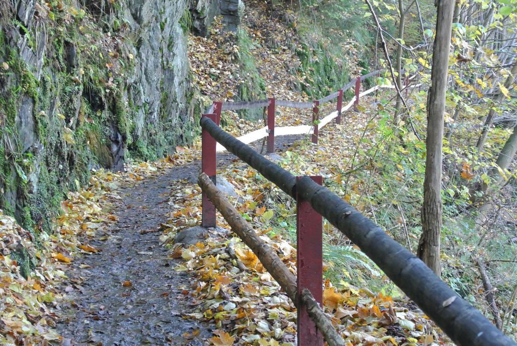 Ferienwohnungen Treseburg "Zur Bodehexe" Thale Buitenkant foto