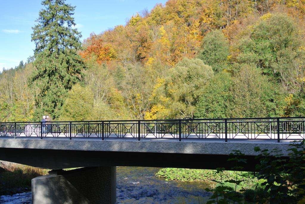 Ferienwohnungen Treseburg "Zur Bodehexe" Thale Buitenkant foto