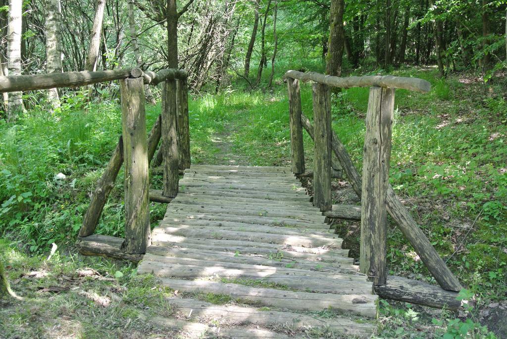 Ferienwohnungen Treseburg "Zur Bodehexe" Thale Buitenkant foto