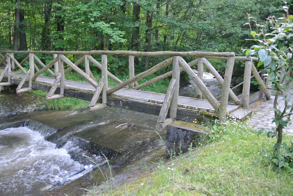 Ferienwohnungen Treseburg "Zur Bodehexe" Thale Buitenkant foto