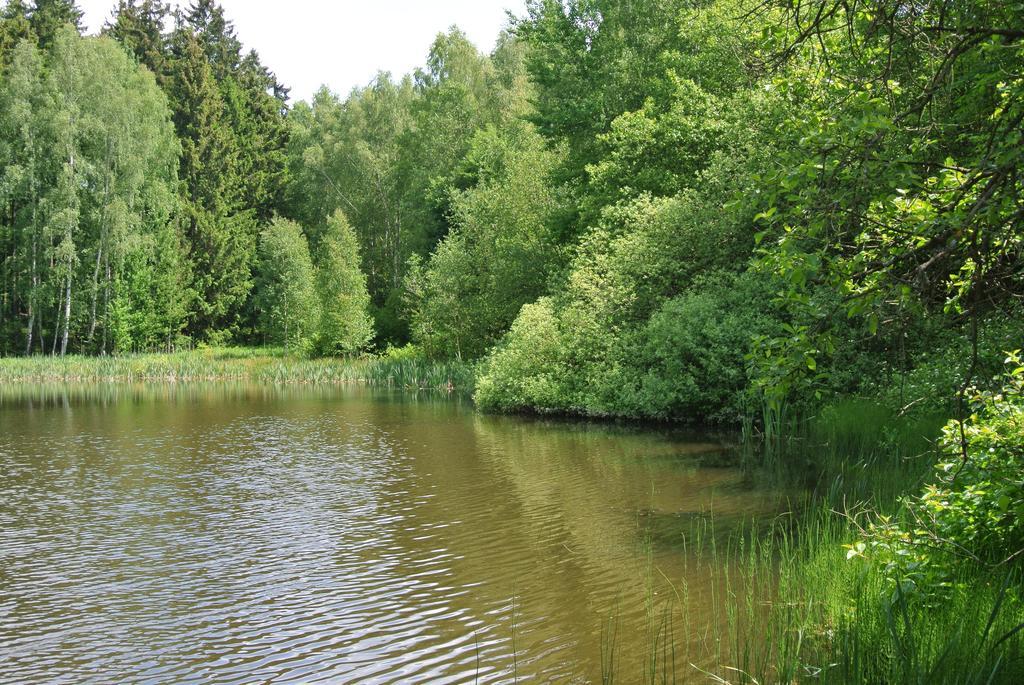 Ferienwohnungen Treseburg "Zur Bodehexe" Thale Buitenkant foto