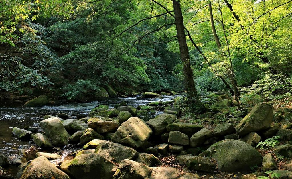 Ferienwohnungen Treseburg "Zur Bodehexe" Thale Buitenkant foto