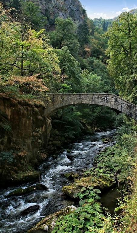 Ferienwohnungen Treseburg "Zur Bodehexe" Thale Buitenkant foto