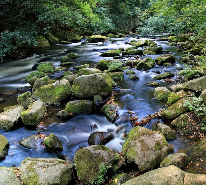 Ferienwohnungen Treseburg "Zur Bodehexe" Thale Buitenkant foto